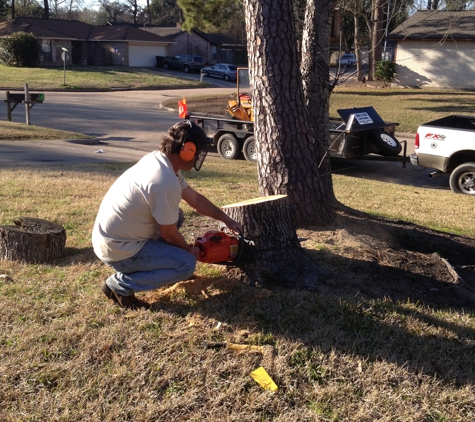 Lone Star Stump Grinding - Porter, TX