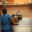 South Kendall Animal Hospital - Veterinarians