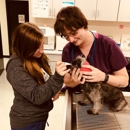 Piedmont  Animal Hospital - Veterinary Clinics & Hospitals