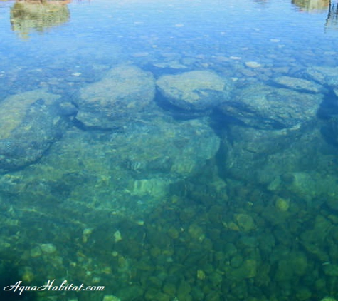 Ponds by Biologists - West Linn, OR