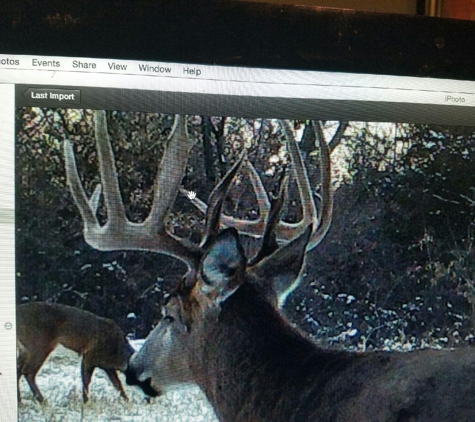 Midwest Whitetail Outfitters LLC - West Burlington, IA