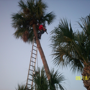 Rey Tree Service LLC - Tampa, FL