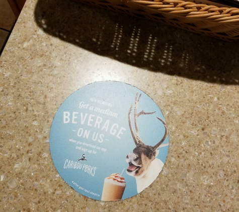 Caribou Coffee - Minneapolis, MN