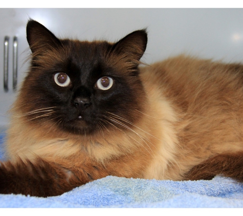 Taree Veterinary Hospital - Taree, NSW