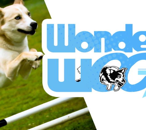 WonderWoof Pet Services - Buford, GA