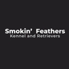 Smokin' Feathers Kennel and Retrievers gallery