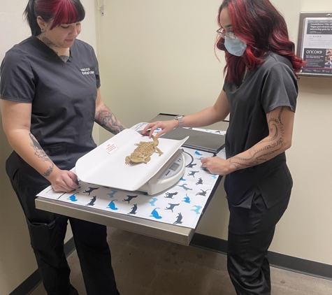 Vetco Total Care Animal Hospital - Las Vegas, NV