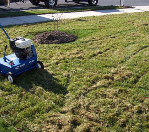 BV lawn services and landscaping - westminster, CO