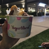 YogurtLand gallery