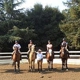 Spring Down Equestrian Center