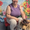 Springfield Side Kick Dog Training, Boarding, Daycare & Grooming gallery