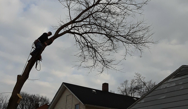 Mills Tree Service, LLC - Mason, MI