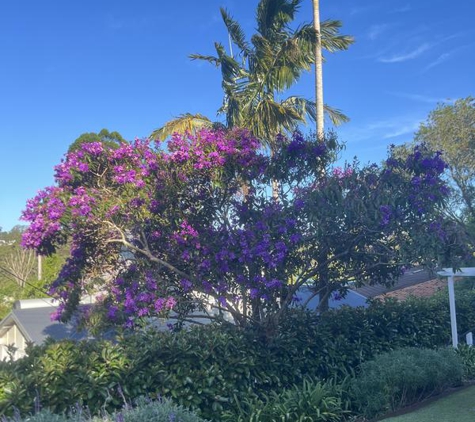 Arbor Pride Tree Services Pty Ltd - Westleigh, NSW