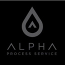 Alpha Process Service