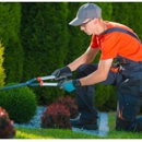 Time`s Up Tree Experts - Tree Service