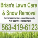 Brian's Lawn Care & Snow Removal - Lawn Maintenance