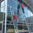 Fish Window Cleaning