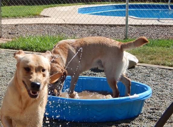 Hooked On Dogs - Redding, CA. Summer Fun