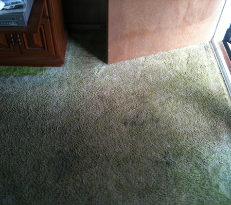 M & M Carpet & Upholstery Cleaning