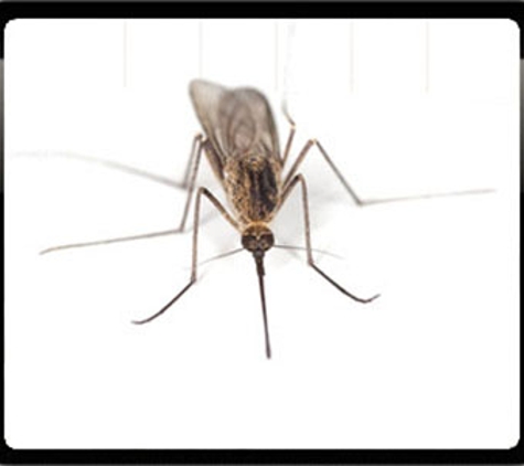 Sharp Pest Control - Cooma, NSW