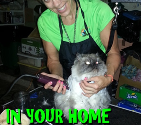 Angel Pets of Houston - Houston, TX