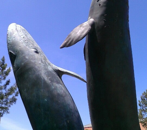 Birch Aquarium At Scripps - La Jolla, CA