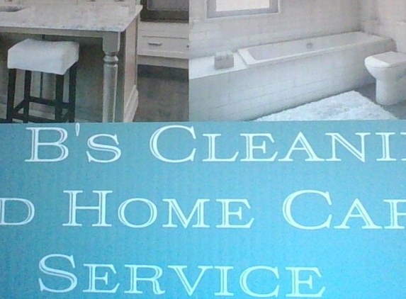 Mr. B's Home Cleaning and Home Care Service - Woodside, NY