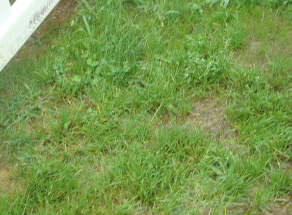 Heidelberg Township Building - Spring Grove, PA. Water laying outside my basement window