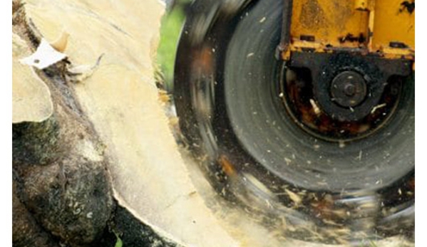 All About Tree Services QLD - Elanora, QLD. We run the latest equipment.