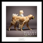 Willow Street Pictures