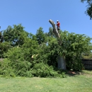 Kevin's Tree Service - Tree Service