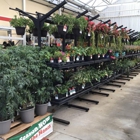 Tractor Supply Co