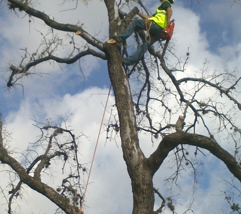 C.I.R. Tree Service - Houston, TX