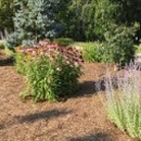 Taylor's Landscaping & Maintenance - Mulches