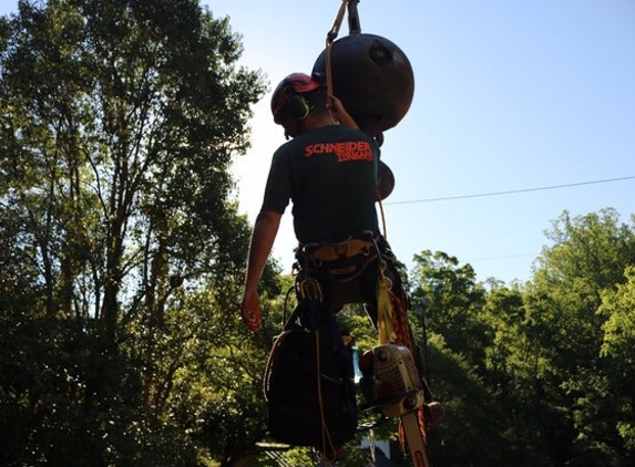 Schneider Tree Care - Taylors, SC