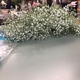 Conroy's Flowers