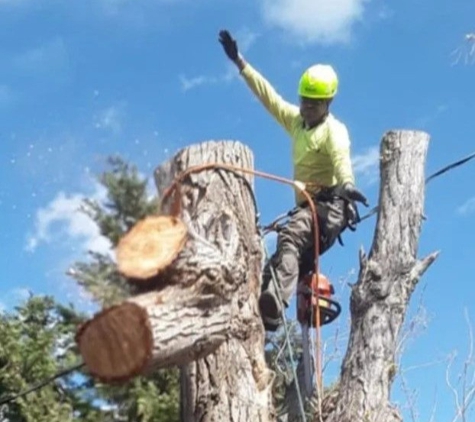 Supreme Tree Service - Pasco, WA