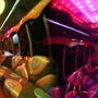 Los Angeles Party Bus