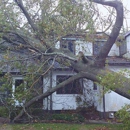 Mount Carmel Tree Service - Tree Service