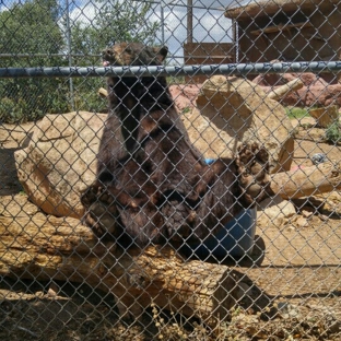 Heritage Park Zoological Sanctuary - Prescott, AZ