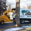 A Cut Above Tree & Stump Removal, Inc. gallery