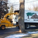 A Cut Above Tree & Stump Removal, Inc. - Landscaping & Lawn Services