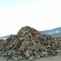 Blue Mountain Firewood