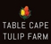 Table Cape Tulip Farm - Tourist Attractions, Information & Services