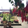 Sunset Gardens gallery