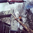 Splintered Forest Tree Services - Tree Service