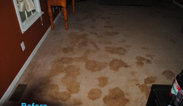 Benchmark Carpet Cleaning