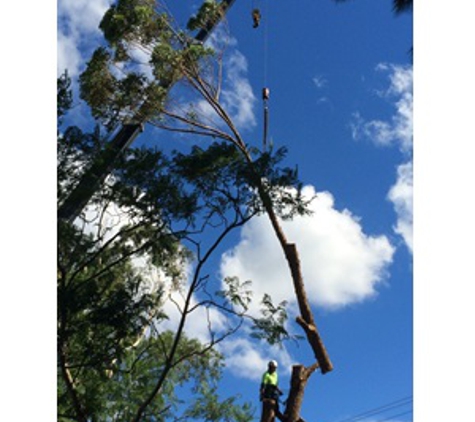 Newcastle Tree Care - Warners Bay, NSW