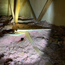 Absolute Pest Management - Pest Control Equipment & Supplies