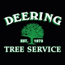 Deering Tree Service - Tree Service